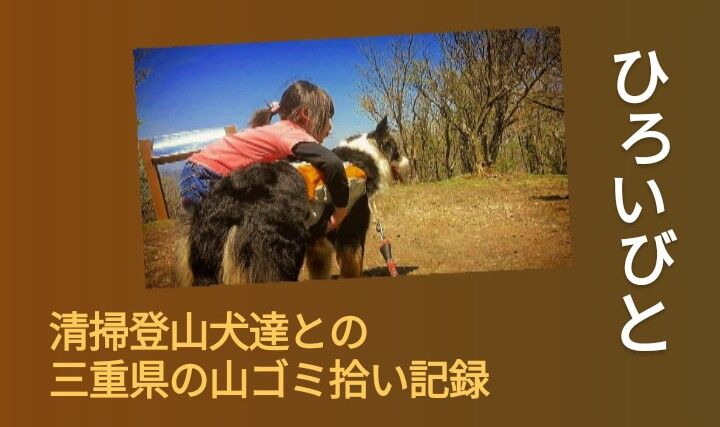 ボーダー コリー 売れ残り