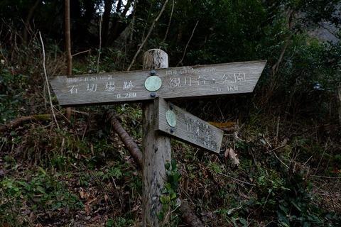 DSCF1188-L