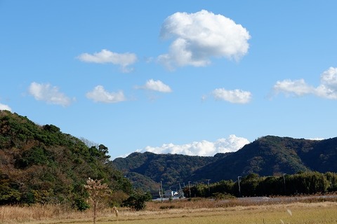 DSCF3395-L