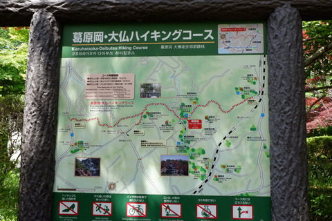 DSCF3015