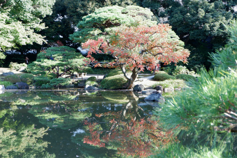 DSCF7541-L