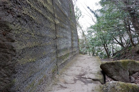 DSCF1180-L