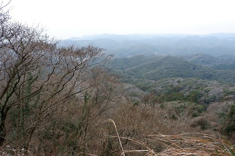 DSCF1201-L