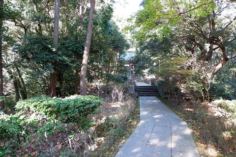 DSCF3375-L