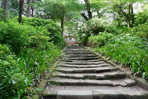 DSCF2961-L