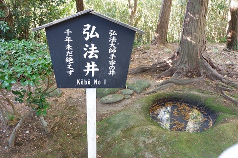 DSCF3378-L