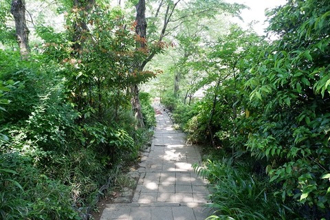 DSCF3022-L