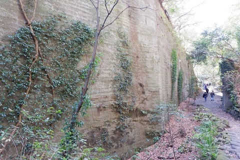 DSCF3246-L