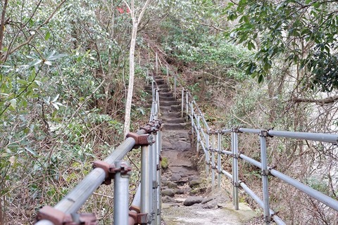 DSCF1184-L