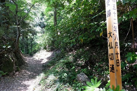 DSCF3085-L
