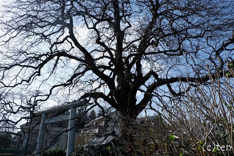 DSCF9162-L