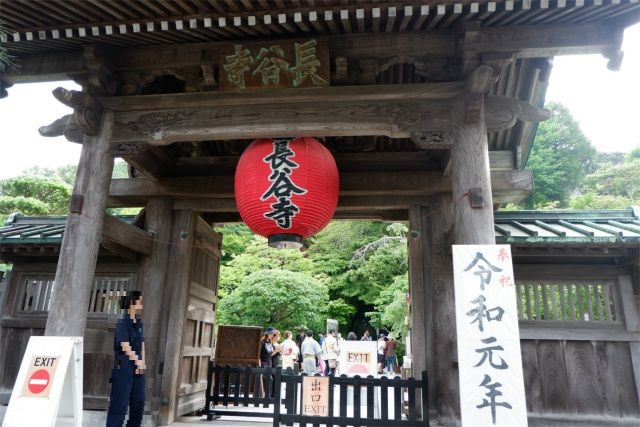 鎌倉とあじさい 長谷寺 19 06 アラサー女子テンのゆるっと自然散歩 鎌倉とあじさい 長谷寺 19 06 アラサー女子テンのゆるっと自然散歩
