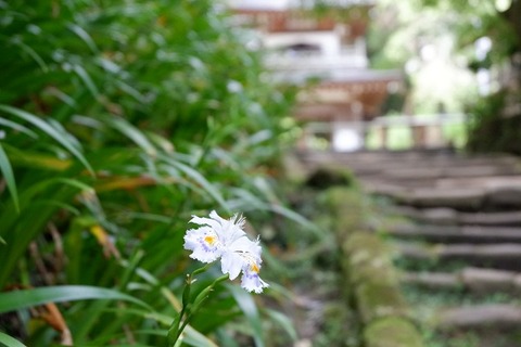 DSCF2964-L