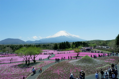 DSCF2794-L