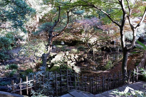 DSCF3368-L
