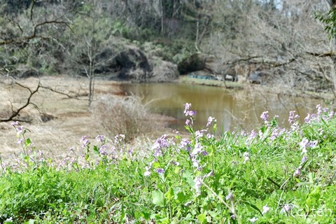 DSCF9123-L