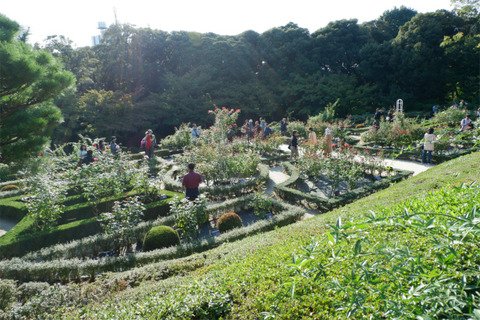 DSCF7615-L