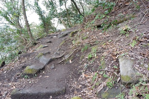 DSCF1189-L