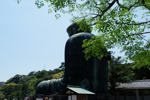 DSCF3122-L