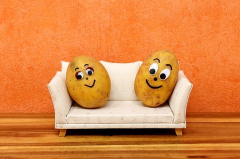 couch-potatoes-55e1d4454f_640