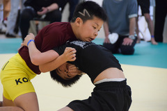 ��ë����VS�ݻ��˳�