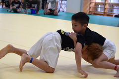 ���ܷ�VS��������Ϻ