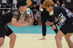 ��Ȫ̾����VS���ڤ����