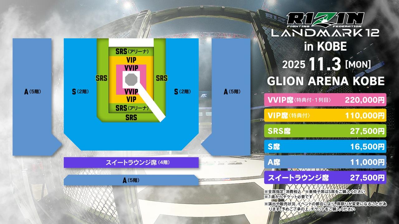 RIZINチケット2枚 12/31 大晦日 アウトレットA席 RIZIN ライジン 
