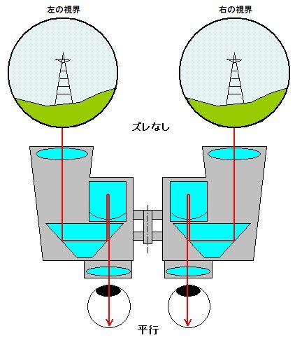 ポロ_平行2