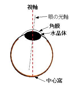 眼球