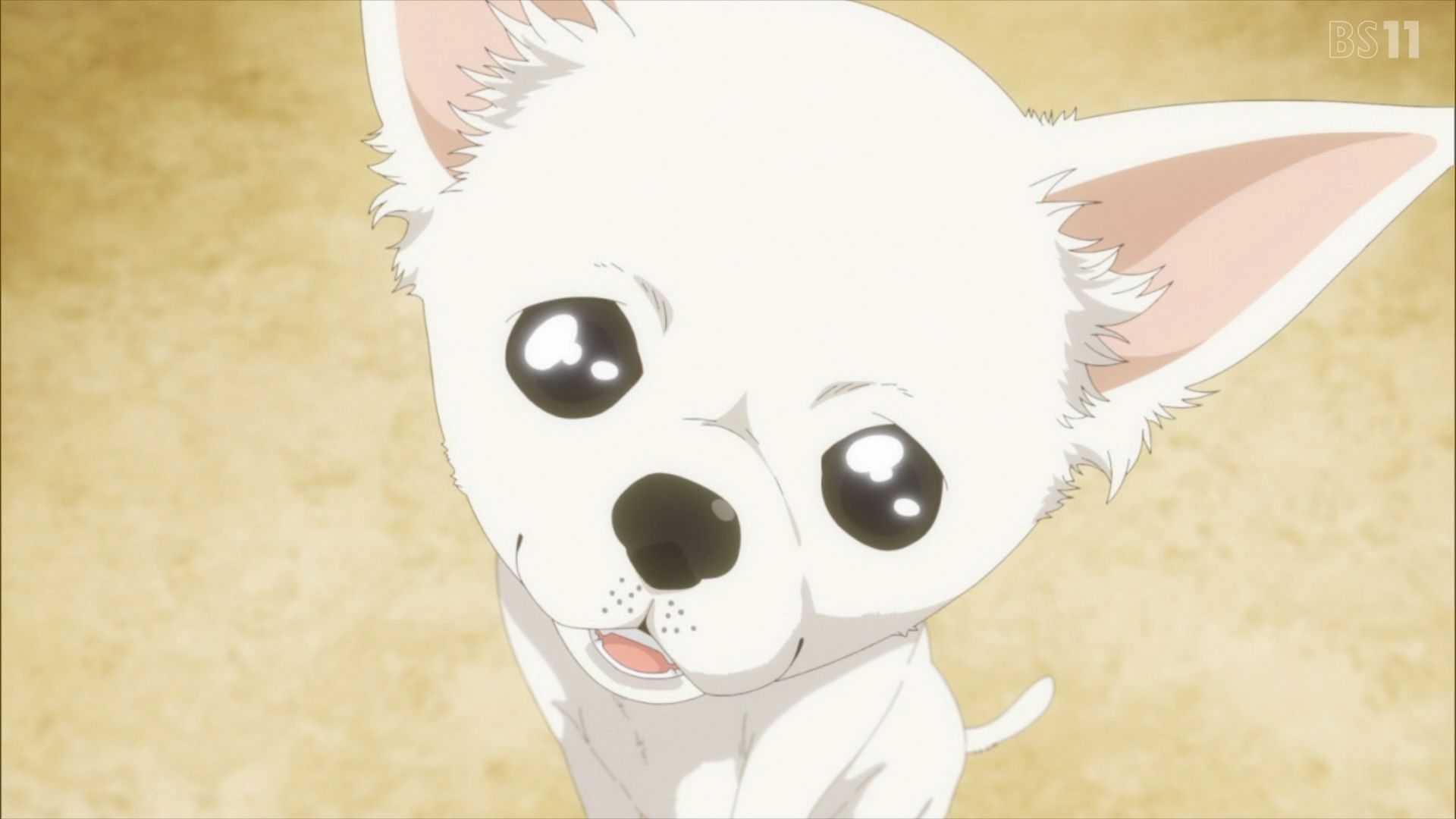 ロリ gif の時間です 第11話 雑感 これは屈しますわ。やっぱロリは反則。 : mouseionのブログ