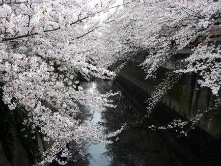 IMGP7855