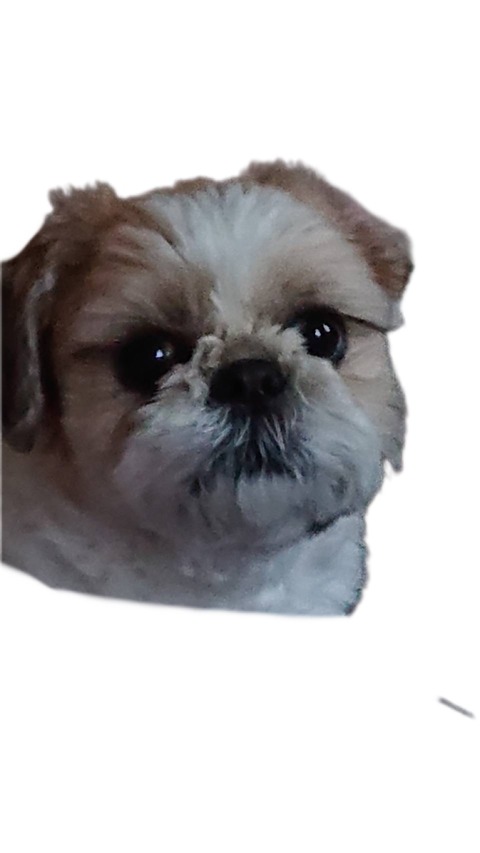 6DBF9665-33F7-4951-9C54-E1AEFFFCDD31