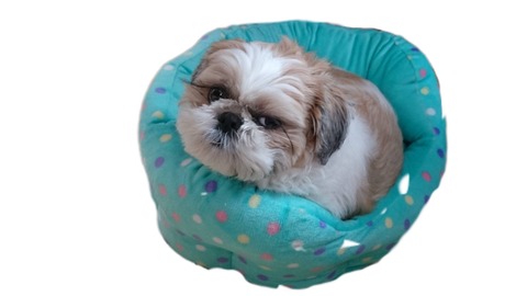 9757ADD1-5628-419F-9406-6DD60CA1E978