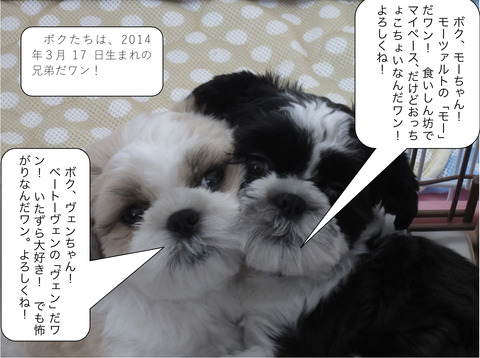 2BAD92A5-FDF3-4293-B3E7-5D43DA9AA8E1