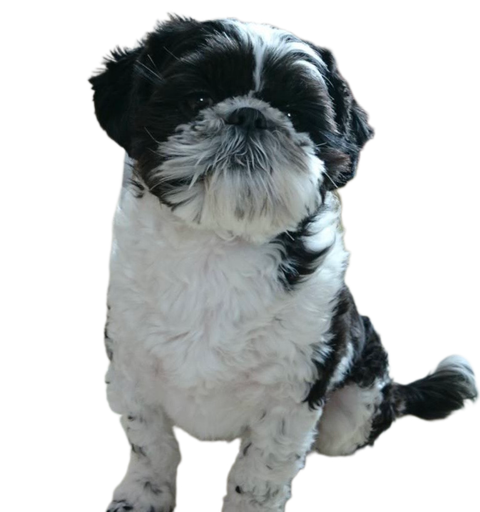 954866C2-2C91-4214-B046-55B8D06E2C8D