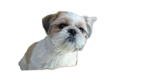 B1EC6F94-C941-4164-BE63-D1DF66FCF386