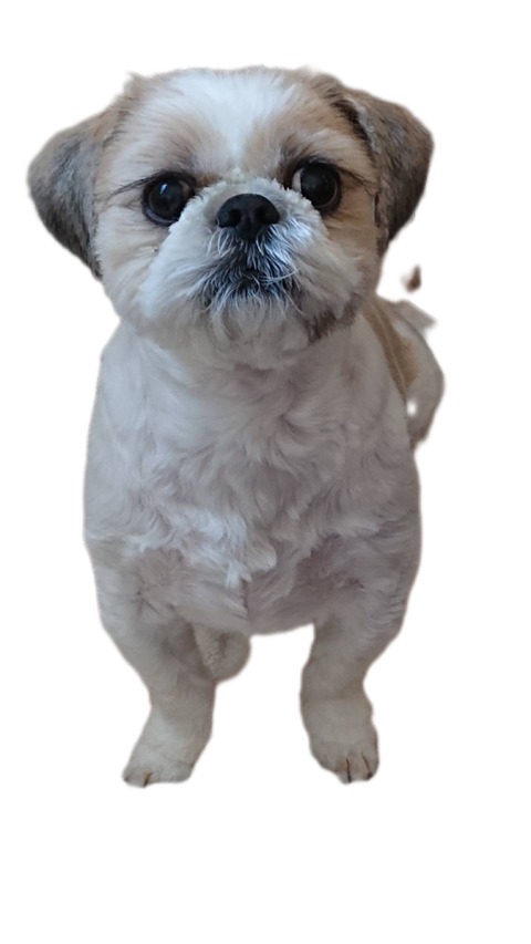 83A870CF-7FFA-4D29-85BD-96C1B46552F2