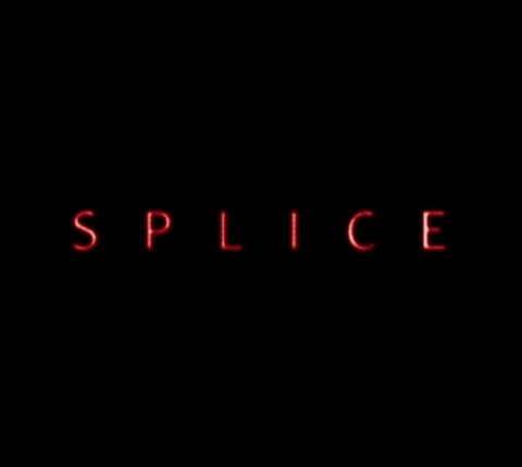 splice-2