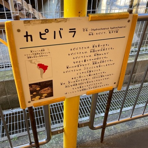 newreomaworld-2022-11-20-2