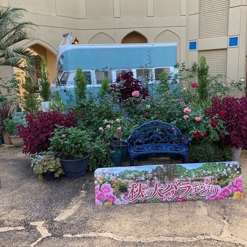 newreomaworld-2022-11-20-4