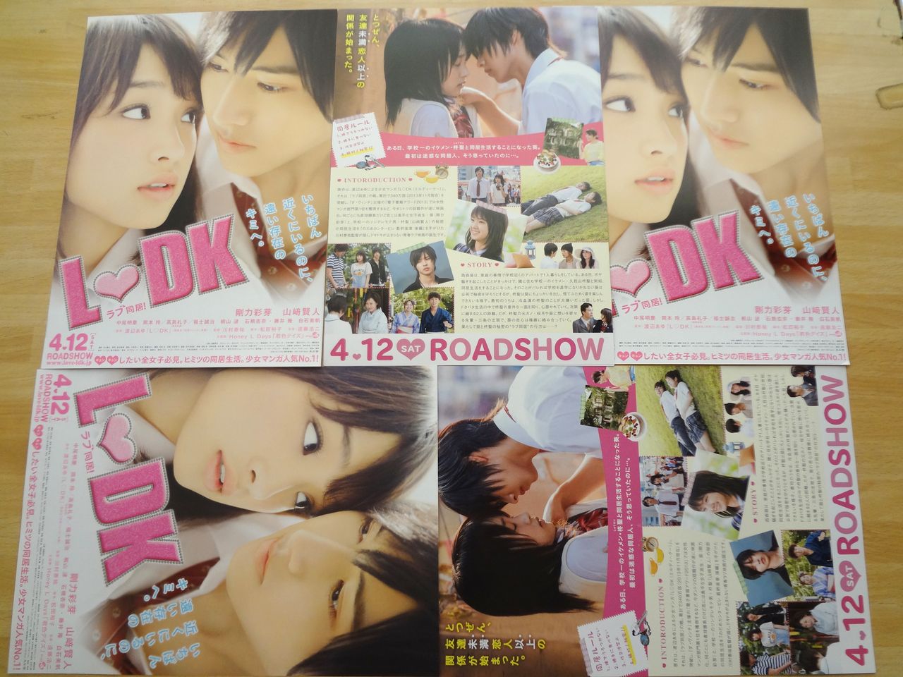 l dk 劇場パンフレット 映画チラシ 剛力彩芽 山崎賢人 中尾明慶 岡本玲 映画鑑賞 グッズ探求記 映画チラシ 劇場パンフレット l dk 劇場パンフレット 映画チラシ 剛力彩芽 山崎賢人 中尾明慶 岡本玲 映画鑑賞 グッズ探求記 映画チラシ 劇場パンフレット