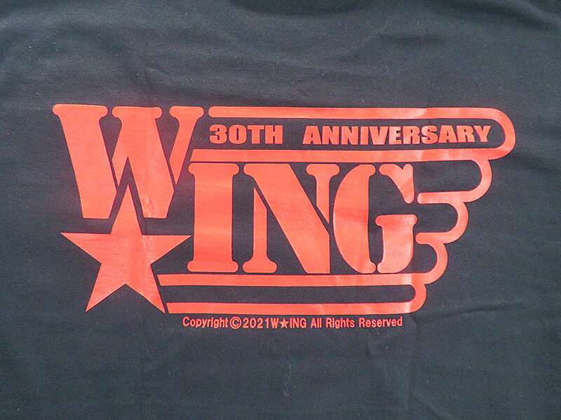 ONE NIGHT ONE SOUL！W☆ING ファイヤーデスマッチTシャツ : あなたは