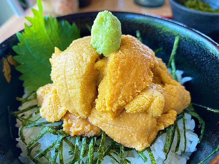 ウニ丼＆エゾシカロースト丼が美味すぎる！知内町「ムラカミヤ」 : あなたは『おもしろマガジン』