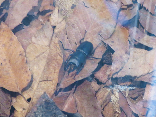 20111215