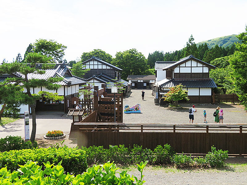 松前町 水に浮くあじさいが涼しげな 浮き紫陽花 は明日まで あなたは おもしろマガジン