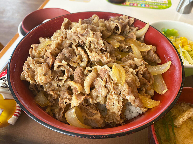 自分の限界がどこまでかを知るために すき家 のおメガメガ牛丼 あなたは おもしろマガジン
