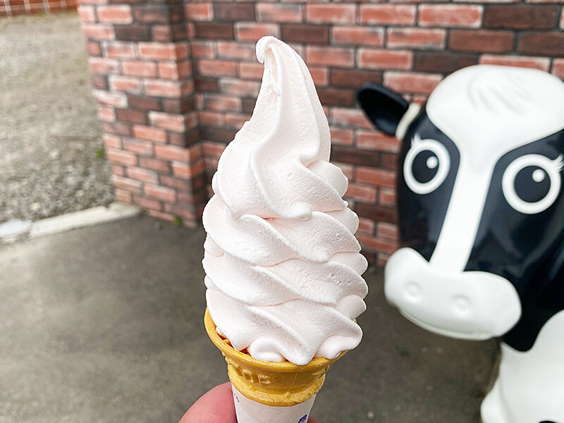 春の限定フレーヴァーさくらソフトクリーム！北斗市向野「鈴木牧場牛乳