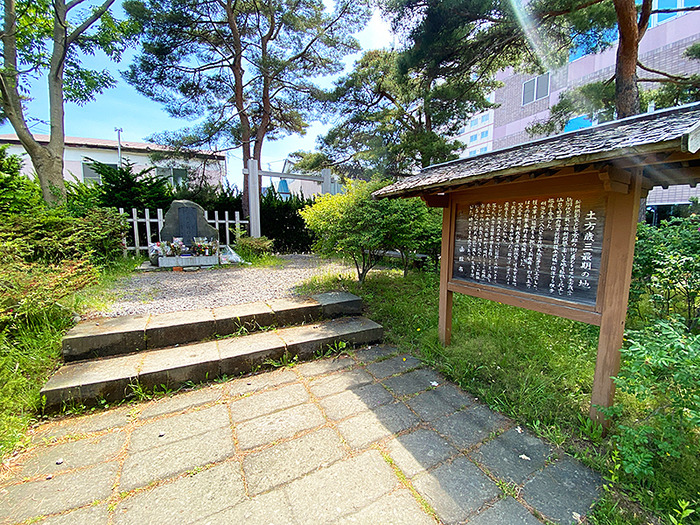 26062402