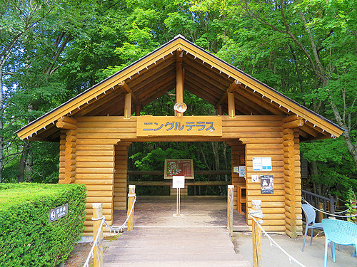 20082232